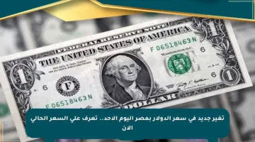 تغير جديد في سعر الدولار بمصر اليوم الأحد.. تعرف على السعر الحالي الآن